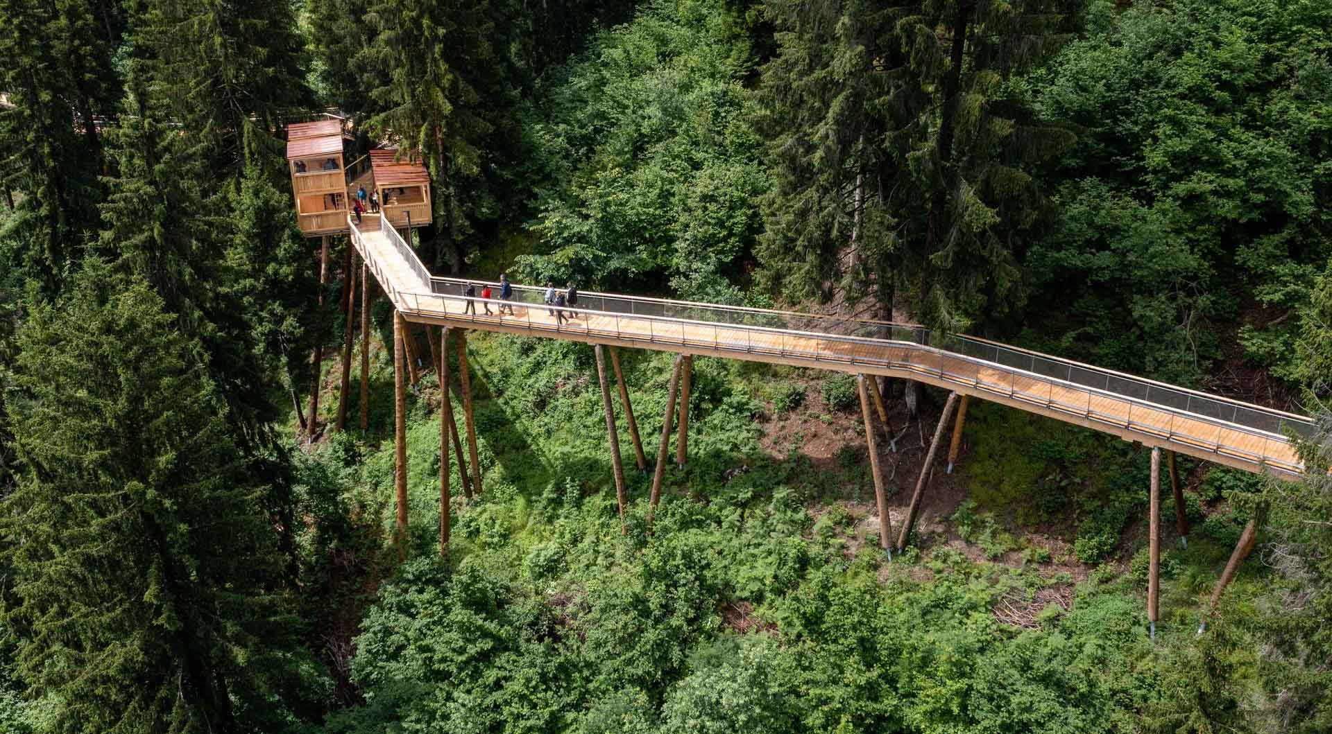 Senda dil Dragun, Baumwipfelpfad, Naturerlebniss, Flims, Laax, Schweiz, Wald, Spaziergang