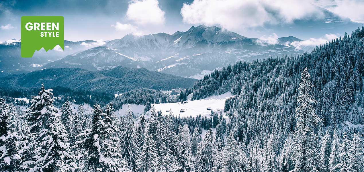 The Flims Landslide Flims Laax Falera